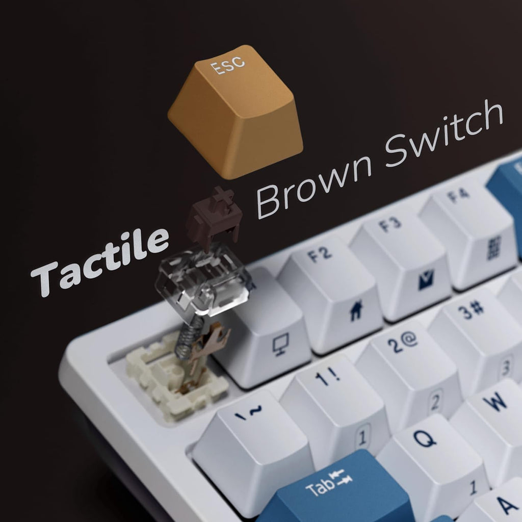 RK98 Wireless Mechanical Keyboard, Tri-Mode 2.4G/BT5.1/USB-C Hot Swappable Full Size Keyboard, RGB Backlit Gaming Keyboard, Massive Battery Software Support, Brown Switch